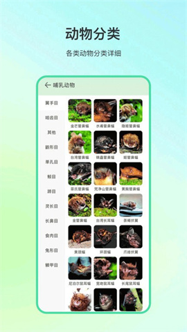 动物百科APP 4.0.1 安卓版1