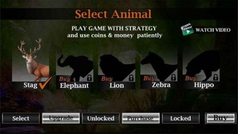 Jungle Wild Animal Hunting手游 1.0 安卓版2