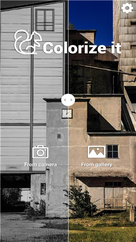 Colorize 4.0.50 安卓版2