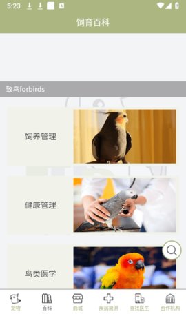 致鸟forbirds 1.1.4 安卓版2