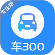 车300专业版APP 3.0.6.1 安卓版