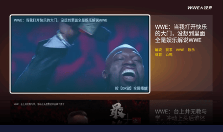 wwe大视界电视版 2.4.996 盒子版4