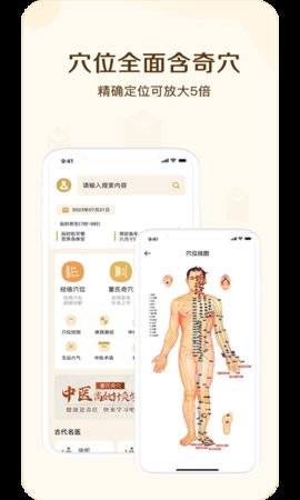 经络穴位指南App 1.0 安卓版4